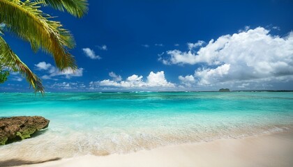 Naklejka premium Beautiful tropical beach with palm trees, sunset beach seascape, design template for travel banner.