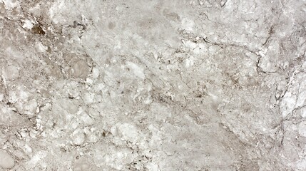 Grey and White Marble Texture Background