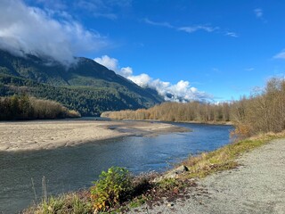 Brackendale - Eagle run