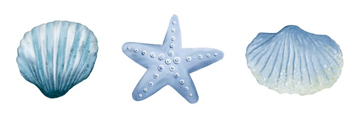 Delicate blue marine life inspired watercolor art featuring a shell and starfish