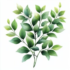 Fototapeta premium Lush green leaves arrangement nature setting botanical illustration vibrant environment close-up view tranquil concept