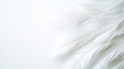 White feather in mid-air above textured white paper background close-up photography