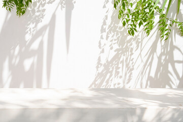 White table top with green leaves light and shadow on stucco wall texture background
