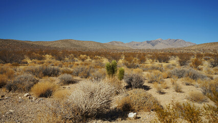 Goodsprings Mining Ghost Town in Nevada