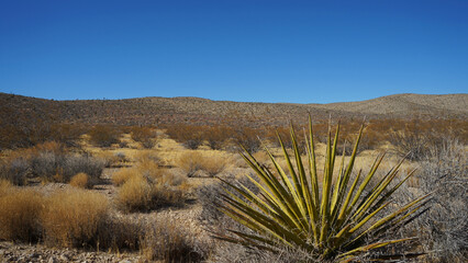 Goodsprings Mining Ghost Town in Nevada