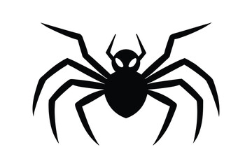 spider isolated on white background