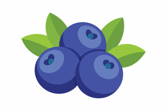 blueberries with leaves