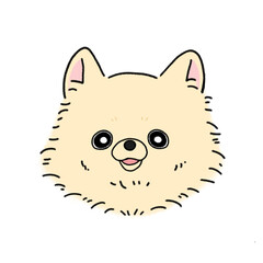 ポメラニアン(クリーム)