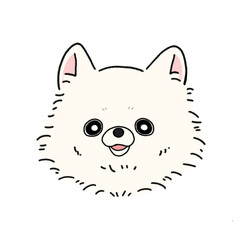 ポメラニアン(ホワイト)