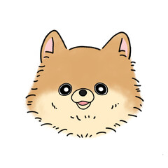 ポメラニアン(オレンジ)