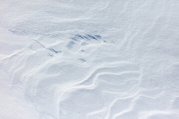 The snow is white and the ground is covered in it