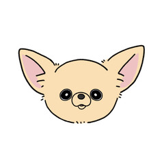 スムースチワワ(クリーム)