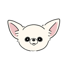 スムースチワワ(ホワイト)