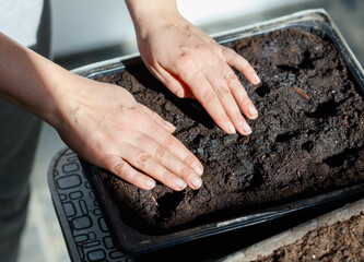 A person is planting a seed in a small container