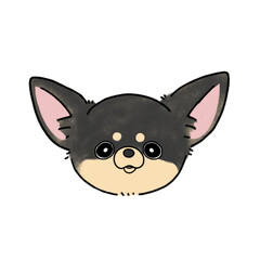 スムースチワワ(ブラックタン)