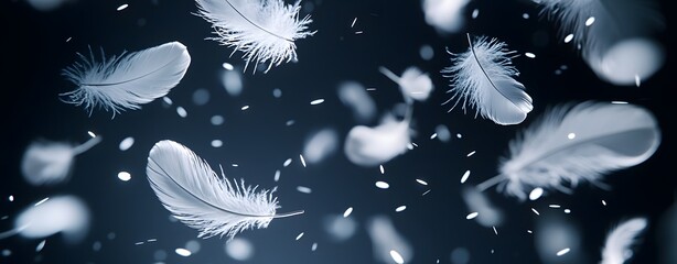 Ethereal Floating Feathers in Captivating Monochrome Serenity