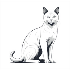 Elegant Black and White Line Art Illustration of a Sitting Cat