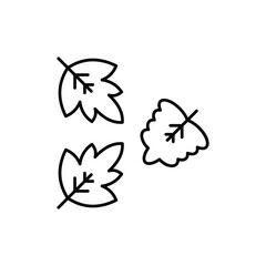 Fall leaves icon design