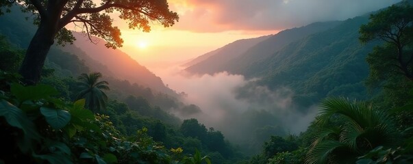Jungle vegetation emerges from the dense fog at dawn, trees, tropical
