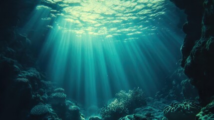 Fototapeta premium Underwater scene with sunlight beams illuminating coral and marine life.