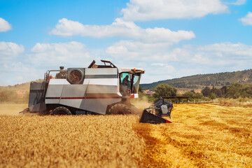 A combine harvester collects ripe wheat under a bright blue sky with fluffy clouds in the...