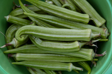 Close-up view of Okra in bowl