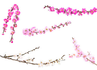 春の花のイラスト素材セット（梅2）