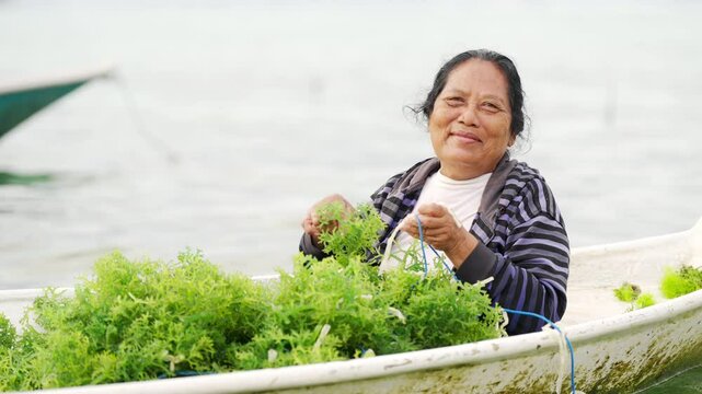 Portrait of smiling seaweed farmer in Nusa lembongan, Bali, Indonesia, on farm or plantation, traditional farming in rural southeast Asia