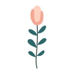 Cute flower,cartoon, isolated, vector illustration, graphic design, flat