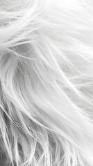 Obraz premium 29. A close-up of fluffy white fur, each strand appearing soft and delicate