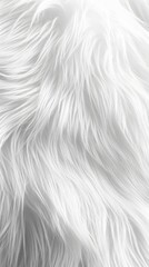 Fototapeta premium 33. A minimalistic white fur background with subtle textured patterns showing depth