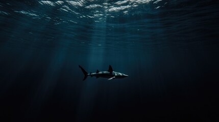 A majestic oceanic predator, a deep blue shark swimming gracefully in the deeper parts of the ocean, its sharp eyes focused on the horizon