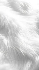 Fototapeta premium 62. A fresh snow-like white fur backdrop, smooth and untouched