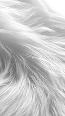 Obraz premium 64. A high-end, plush white fur texture appearing soft and inviting
