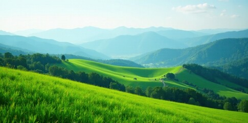 Obraz premium Rolling hills of lush greenery with misty mountains in the distance, calm, hills