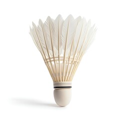A white shuttlecock with black rings and a black band around its neck against a white background.