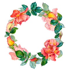 Watercolor floral wreath with red-yellow roses in blossom, green leaves and buds isolated on white background. Hand painted botanical illustration of flowers for invitations, wedding or greeting cards