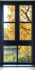 Beautiful Autumn Scene Framed by Modern Window with Golden Leaves