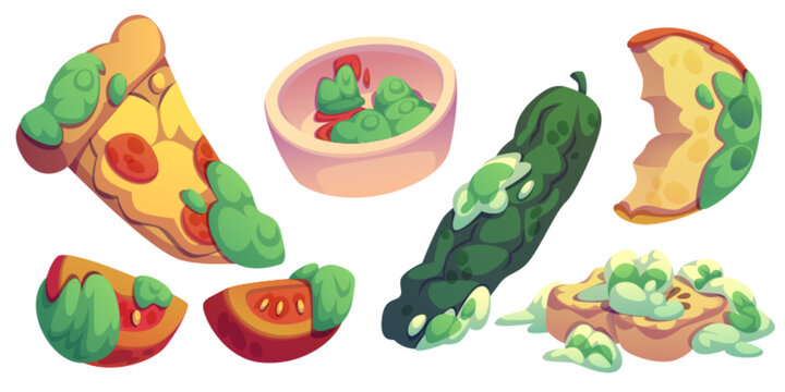 Rotten food collection with moldy pizza slice, spoiled tomato halves, sauce covered in fungus, decaying cucumber, bitten apple with green decomposition spots. Cartoon deteriorated meal items.