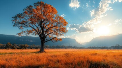 Lone tree in golden field at sunset with mountains.