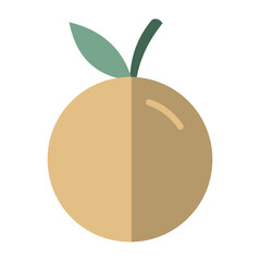 chinese new year Orange fruit	