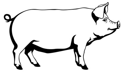 black stencil or silhouette of a pig without background