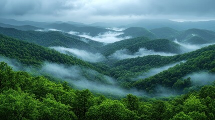 Misty forested mountains landscape.