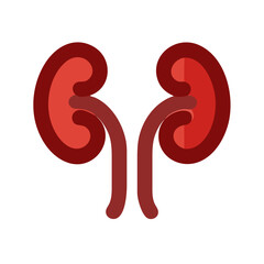 kidneys icon design