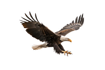 Obraz premium A bald eagle diving with precision, its sharp beak and extended claws ready, embodying strength and agility, isolated on a transparent background