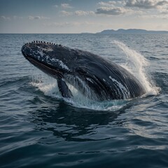 Naklejka premium A translucent whale with waves visible through its body.