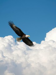 Obraz premium Majestic eagle soaring gracefully high above fluffy white clouds in a clear blue sky, clear, clouds, bird