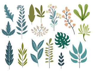 tropical green leaves palm banana leaf hibiscus plumeria philodendron jungle collection design illustration colorful background