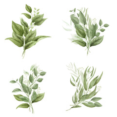 Green twigs with graceful leaves in a bouquet. Watercolor digital illustration. Set of delicate bouquets, willow branches and eucalyptus fruits isolated on white background. Botanical illustration.