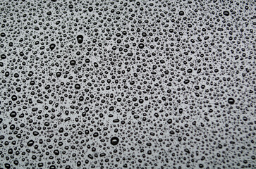 Water droplets view from above with dark background